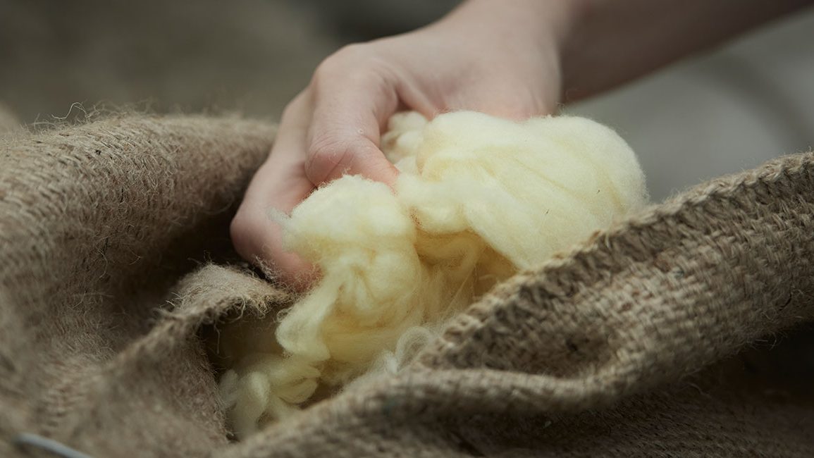 Pure new wool, merino lamb's wool or shetland wool – what's the differ –  Wool Blankets and Throws